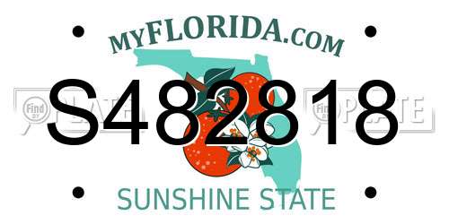 S482818 Florida License Plate