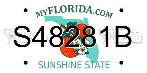 S48281B Florida License Plate
