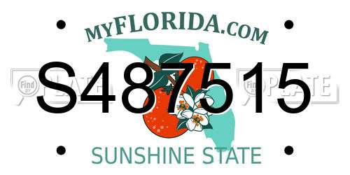 S487515 Florida License Plate