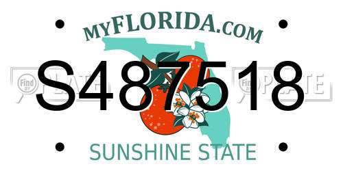 S487518 Florida License Plate