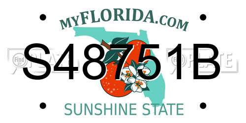 S48751B Florida License Plate