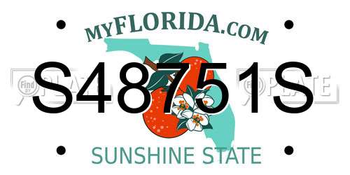 S48751S Florida License Plate