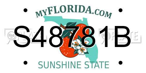 S48781B Florida License Plate