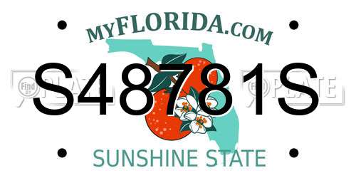 S48781S Florida License Plate