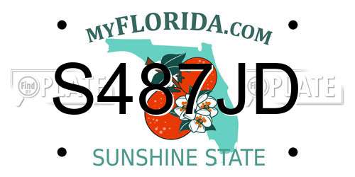 S487JD Florida License Plate