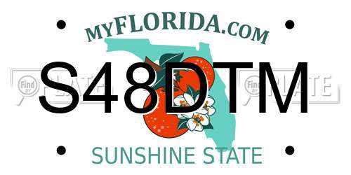 S48DTM Florida License Plate