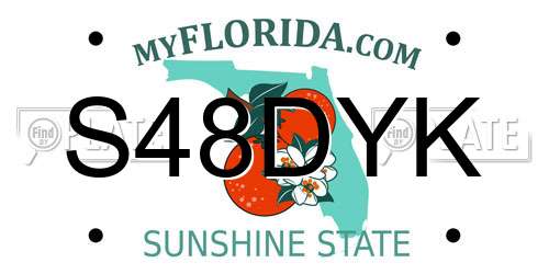 S48DYK Florida License Plate