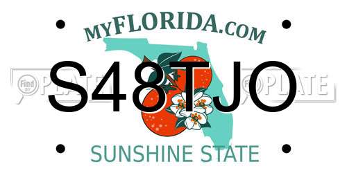 S48TJO Florida License Plate