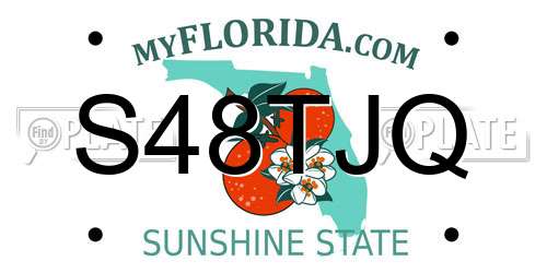 S48TJQ Florida License Plate
