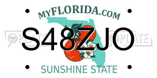 S48ZJO Florida License Plate