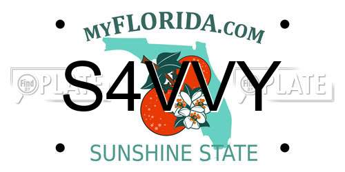 S4VVY Florida License Plate