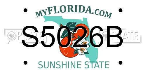 S5026B Florida License Plate