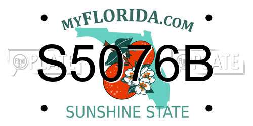 S5076B Florida License Plate