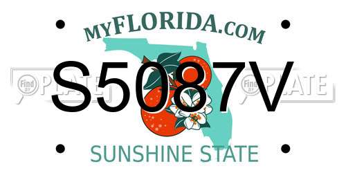 S5087V Florida License Plate