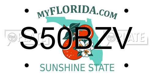 S50BZV Florida License Plate