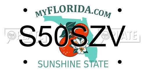 S50SZV Florida License Plate