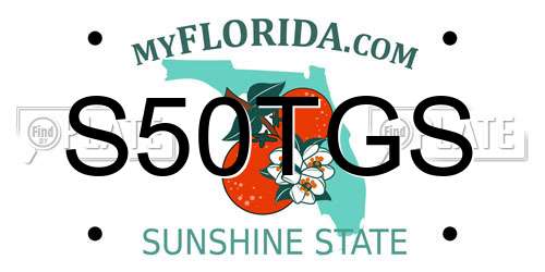 S50TGS Florida License Plate