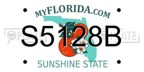 S5128B Florida License Plate