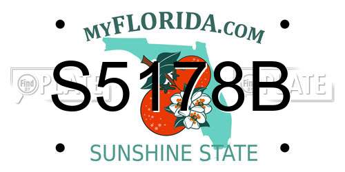 S5178B Florida License Plate
