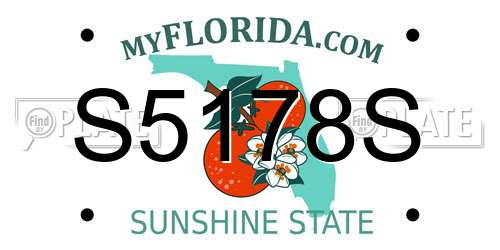 S5178S Florida License Plate