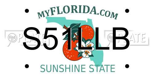 S51LLB Florida License Plate