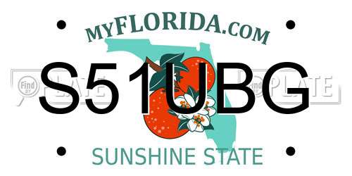 S51UBG Florida License Plate