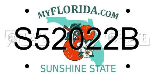 S52022B Florida License Plate