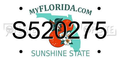 S520275 Florida License Plate