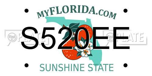 S520EE Florida License Plate