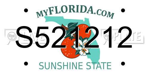 S521212 Florida License Plate