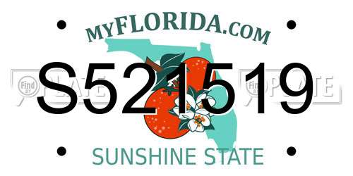 S521519 Florida License Plate
