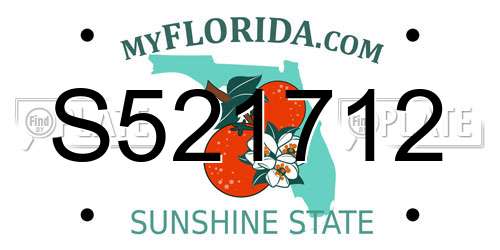 S521712 Florida License Plate