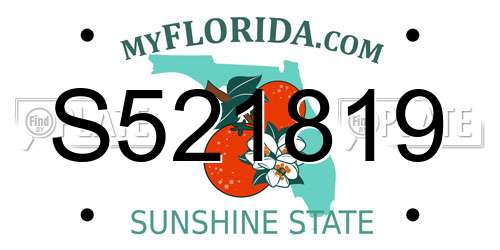 S521819 Florida License Plate