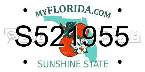 S521955 Florida License Plate