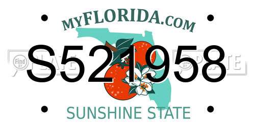 S521958 Florida License Plate