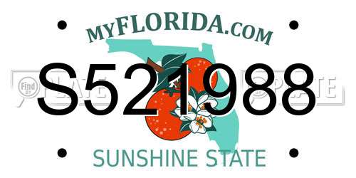S521988 Florida License Plate