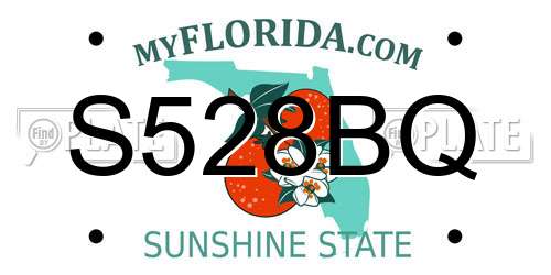 S528BQ Florida License Plate