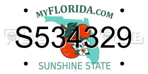 S534329 Florida License Plate