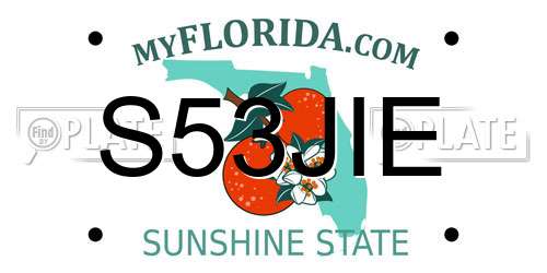 S53JIE Florida License Plate