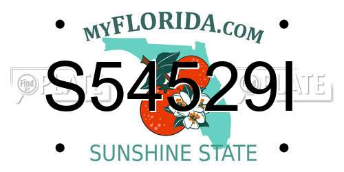 S54529I Florida License Plate
