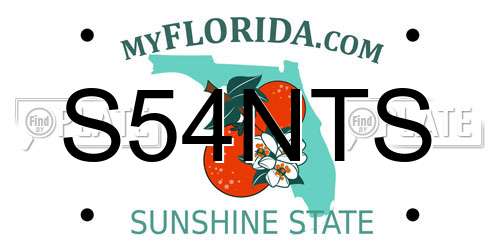 S54NTS Florida License Plate