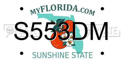 S553DM Florida License Plate
