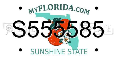 S555585 Florida License Plate