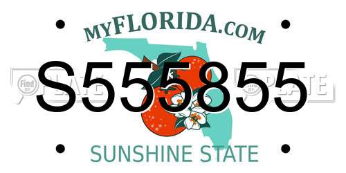 S555855 Florida License Plate