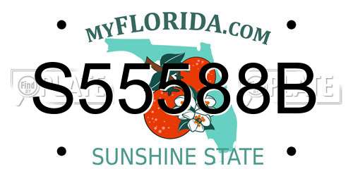 S55588B Florida License Plate