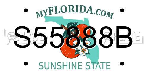 S55888B Florida License Plate