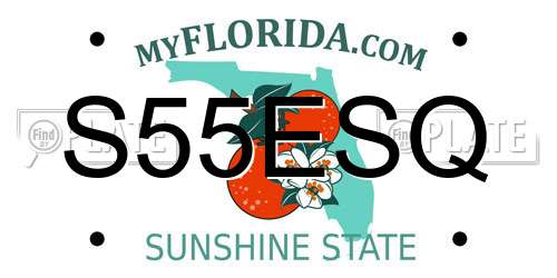 S55ESQ Florida License Plate