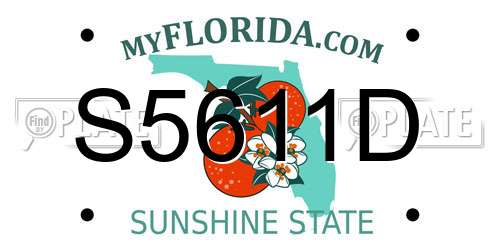 S5611D Florida License Plate