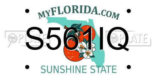 S561IQ Florida License Plate