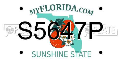 S5647P Florida License Plate